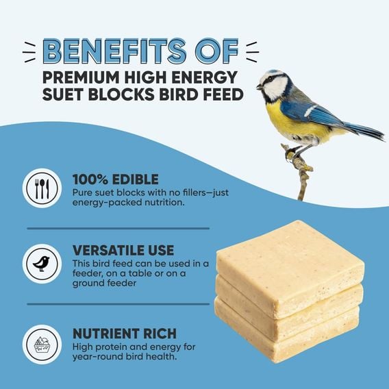 Happy Beaks - Insect & Mealworm Suet Blocks